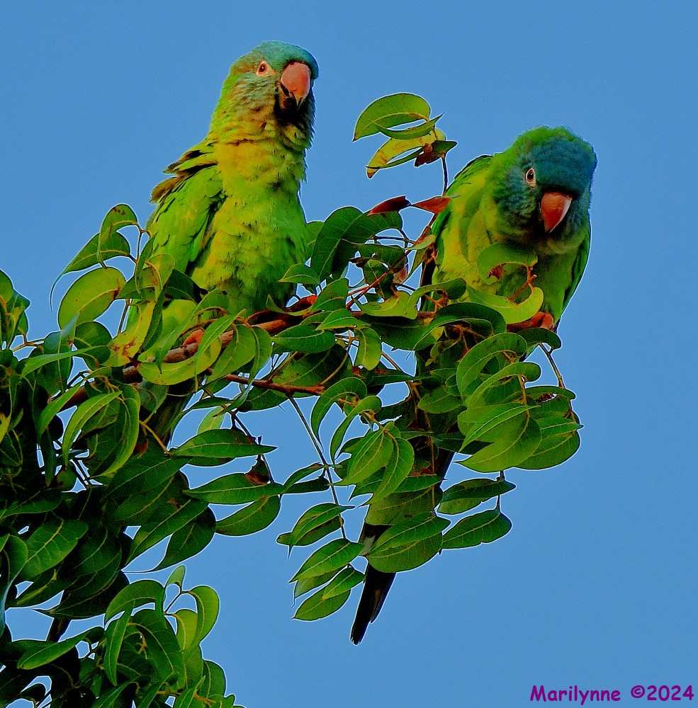 DSC_1664_001.JPG