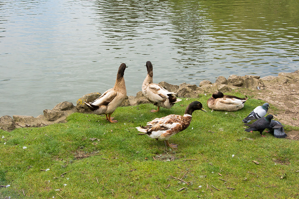 DSC_1667.jpg