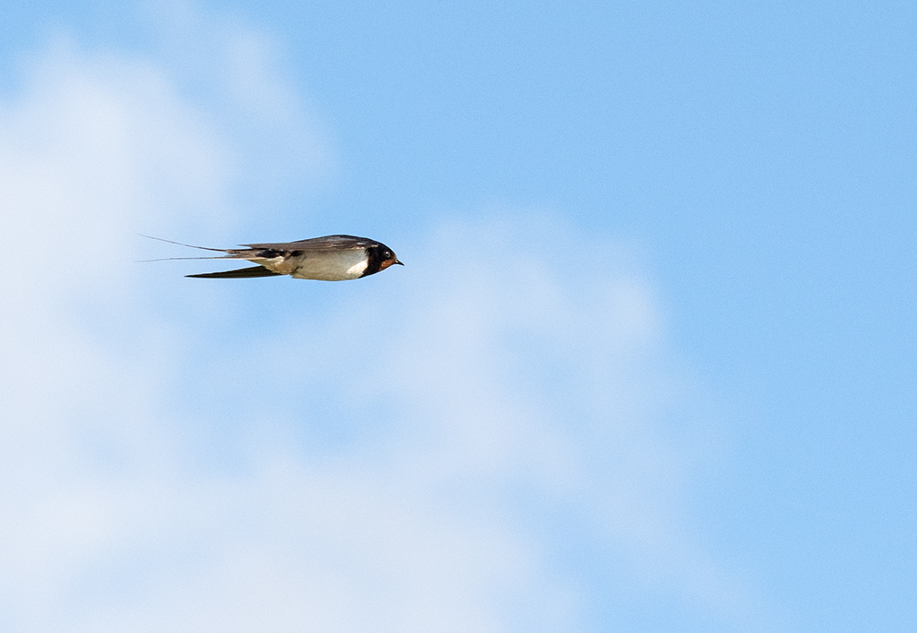 DSC_1670.jpg