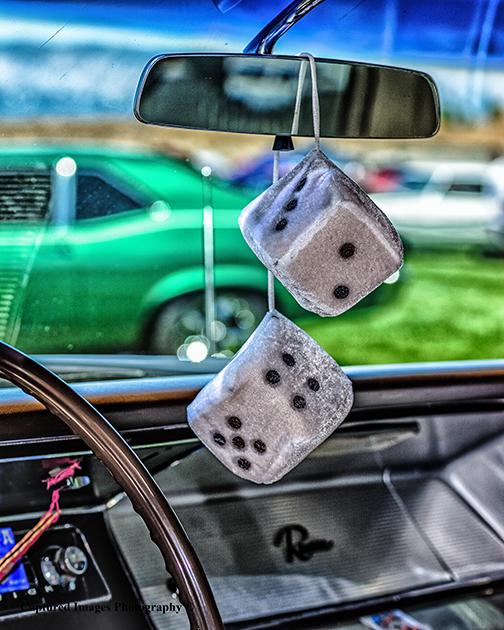 DSC_1673_W.jpg