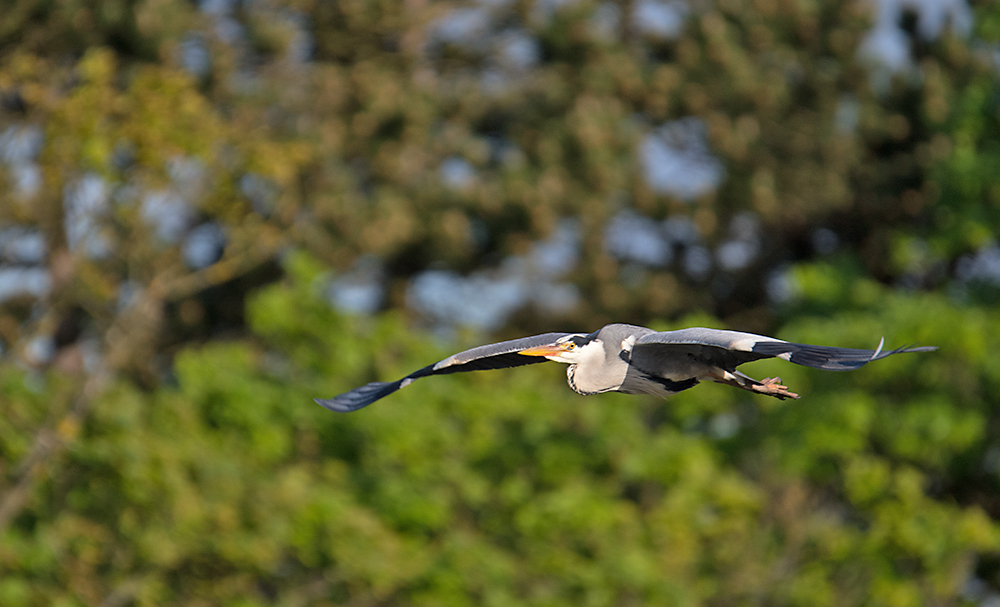 DSC_1674.jpg