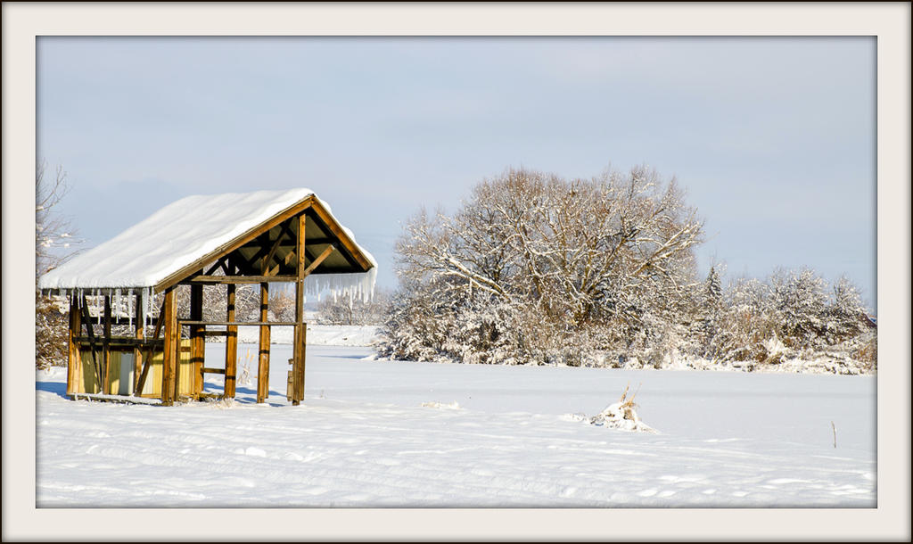 DSC_1676.jpg