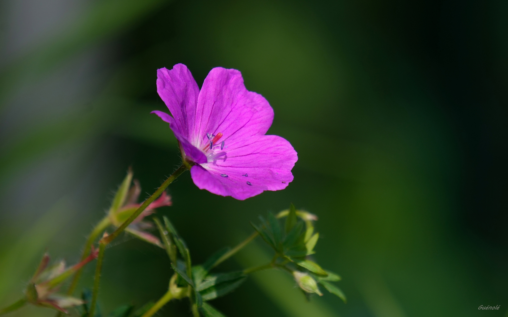 DSC_16771_DxO 1080.jpg