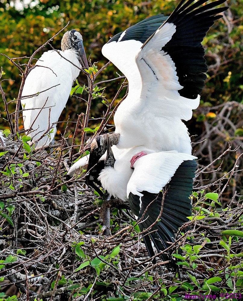 DSC_1680_001.JPG