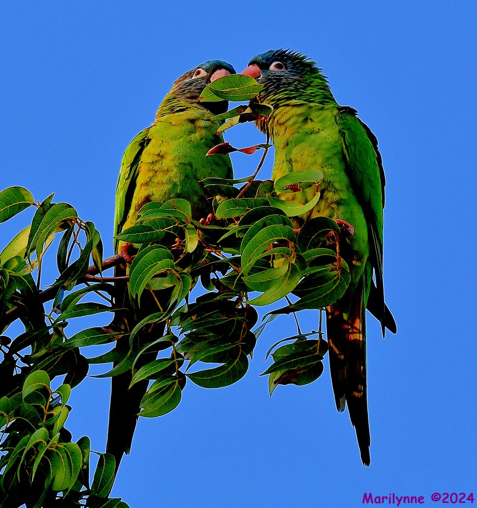 DSC_1682_001.JPG