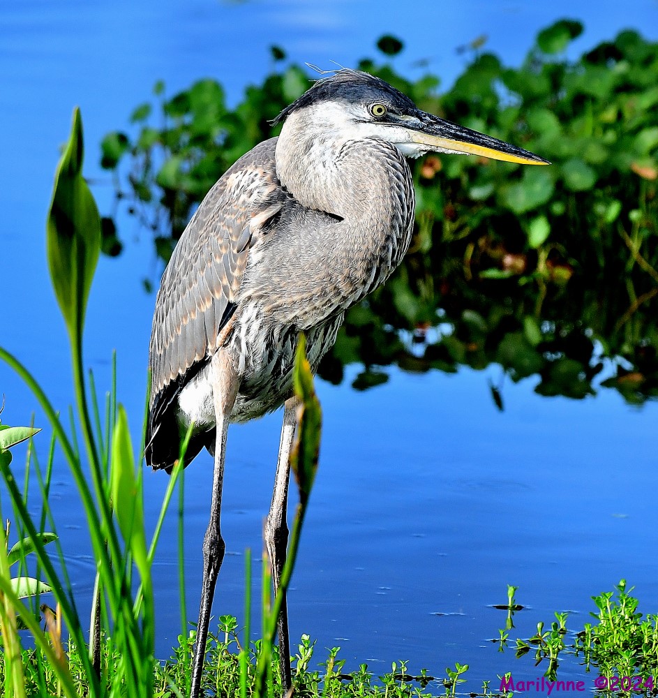 DSC_1683_001.JPG