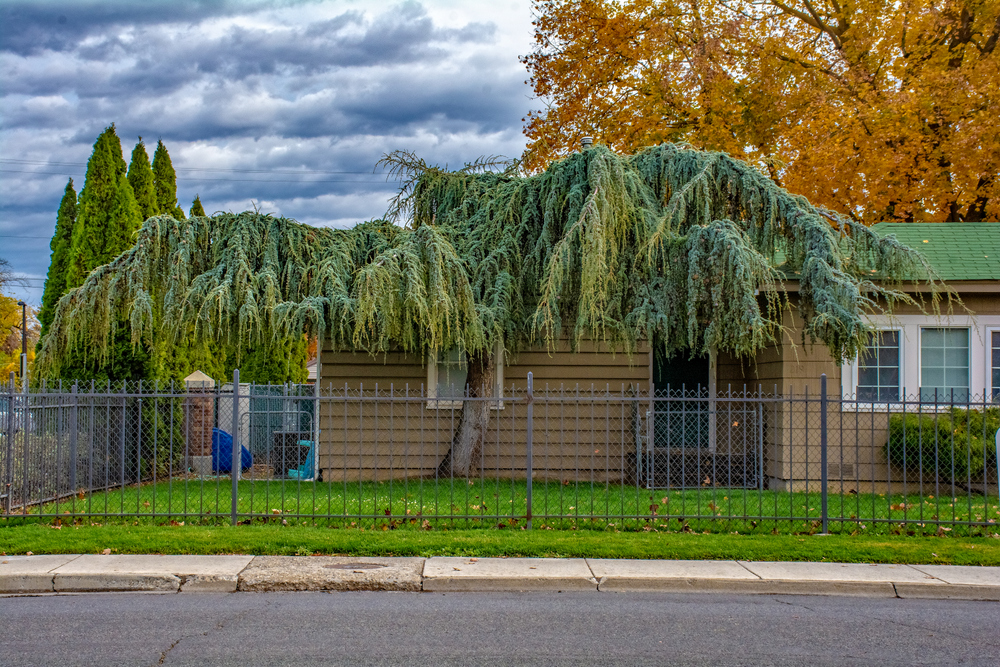 DSC_1687-Edit.jpg