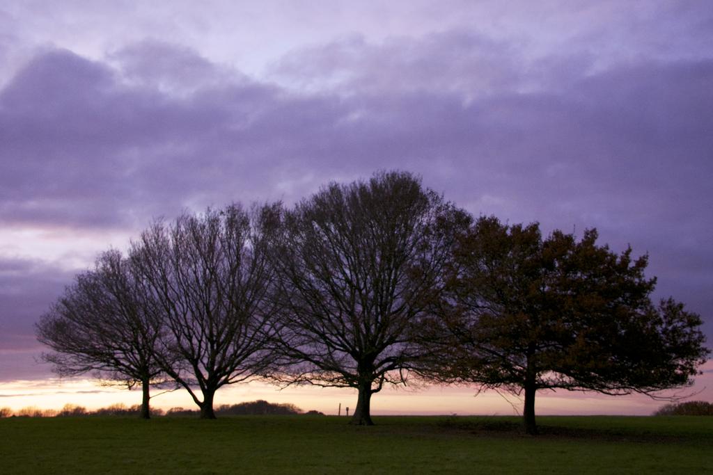 DSC_1687.jpg