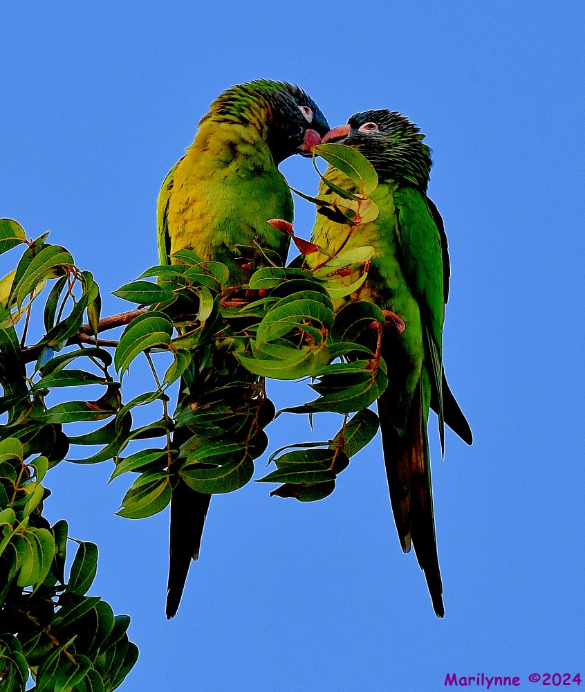 DSC_1688_001.JPG