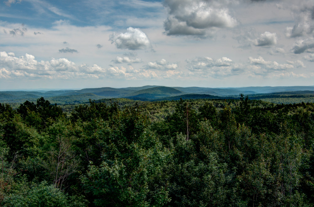 DSC_1688_89_90_91_92_fused.jpg