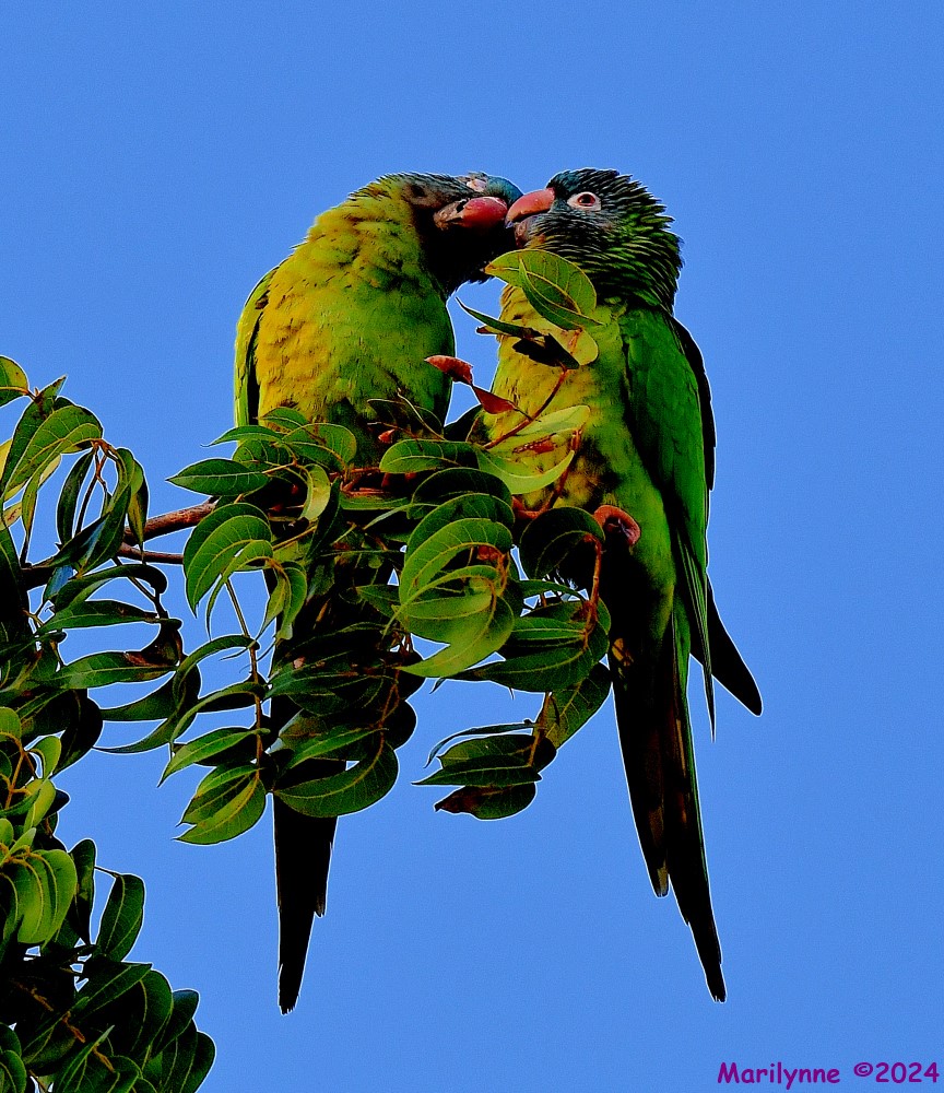 DSC_1689_001.JPG