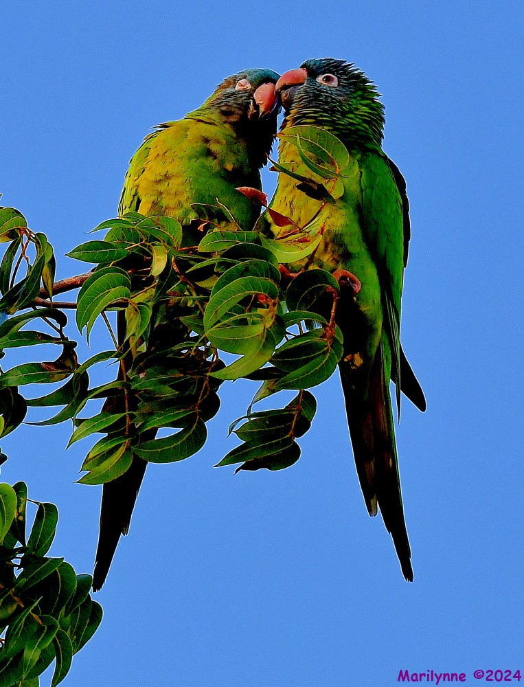 DSC_1693_001.JPG