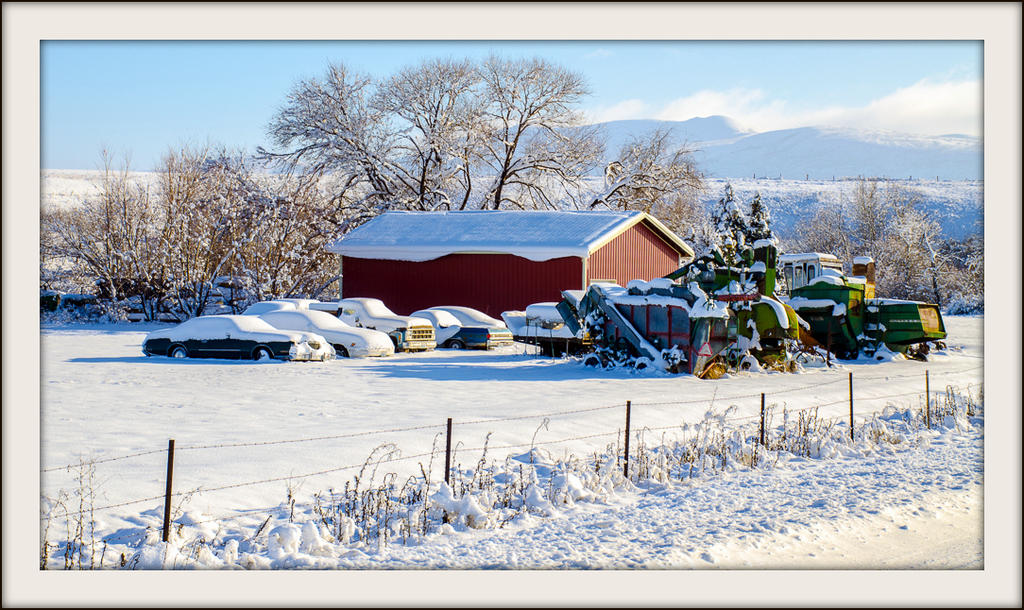 DSC_1694.jpg