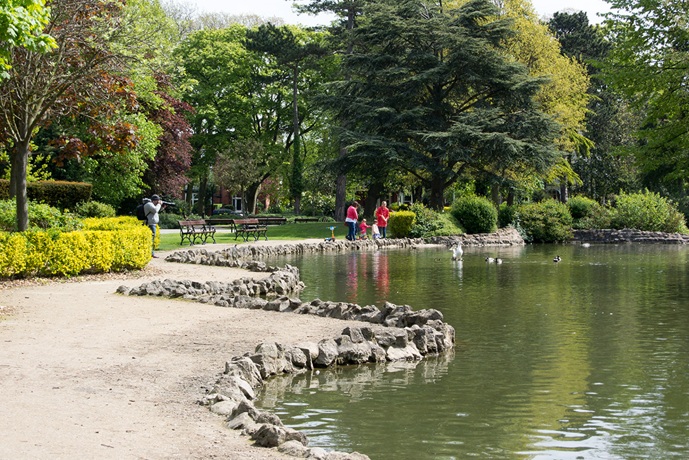 DSC_1703.jpg
