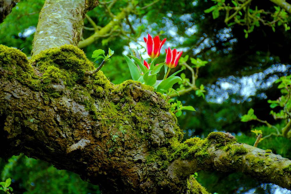 DSC_1704.jpg