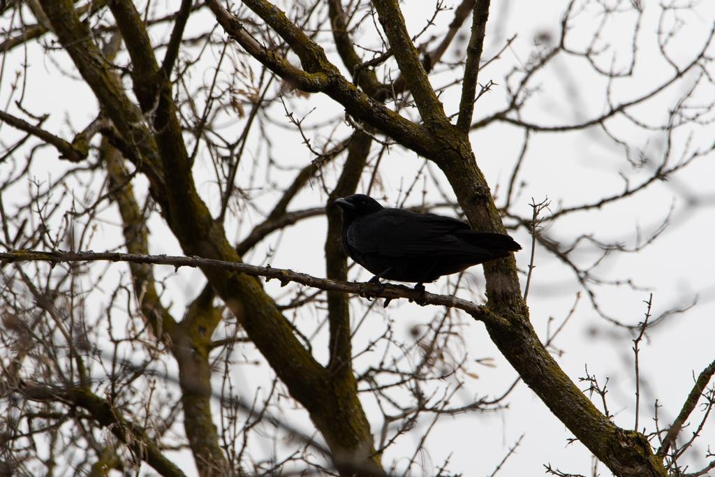 DSC_1708.jpg