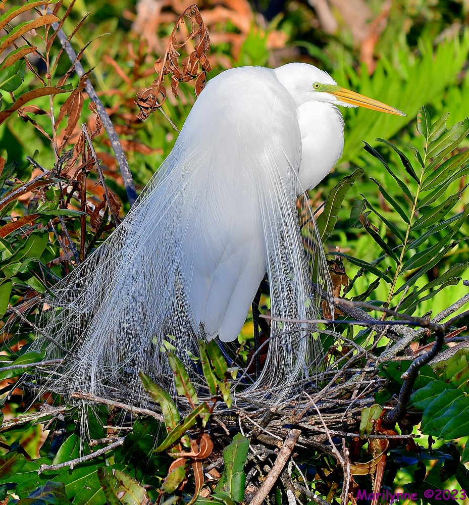 DSC_1709_001.JPG
