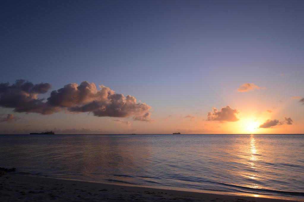 DSC_1710.jpg