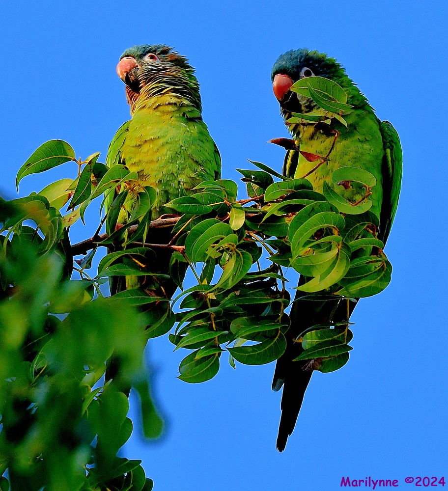 DSC_1713_001.JPG