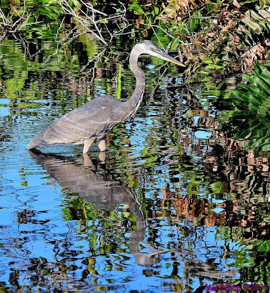 DSC_1715_001.JPG