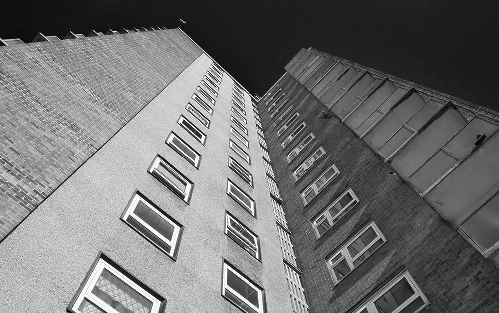 DSC_17216.jpg