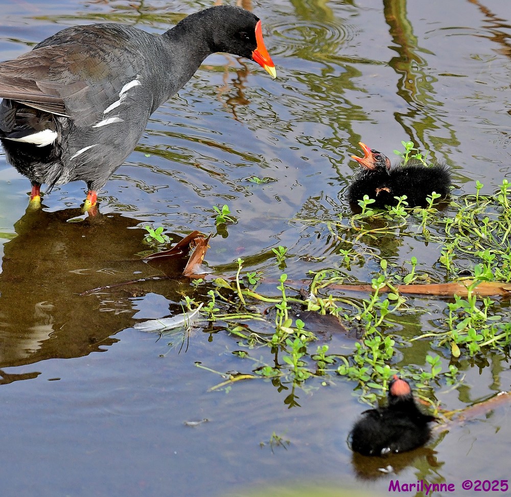DSC_1721_001.JPG