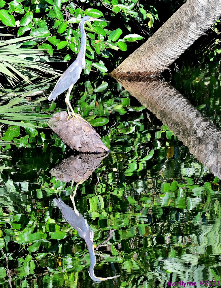 DSC_1725_stitch4_001.JPG