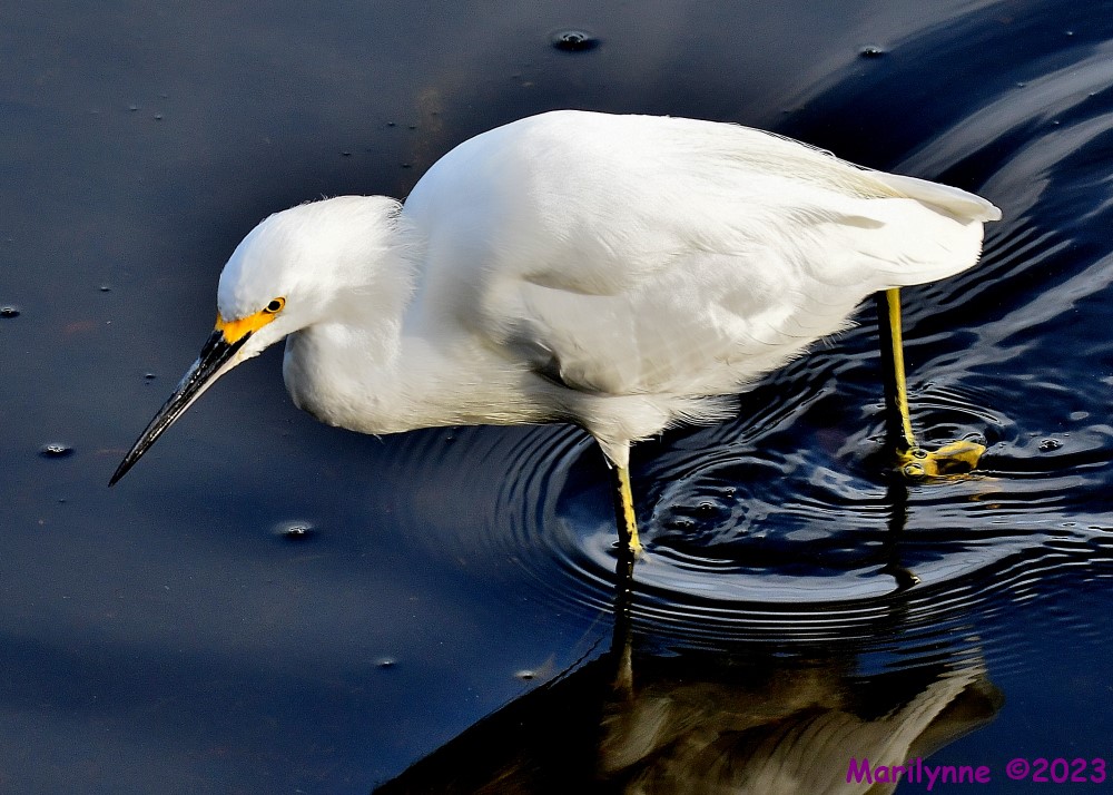 DSC_1728_001.JPG