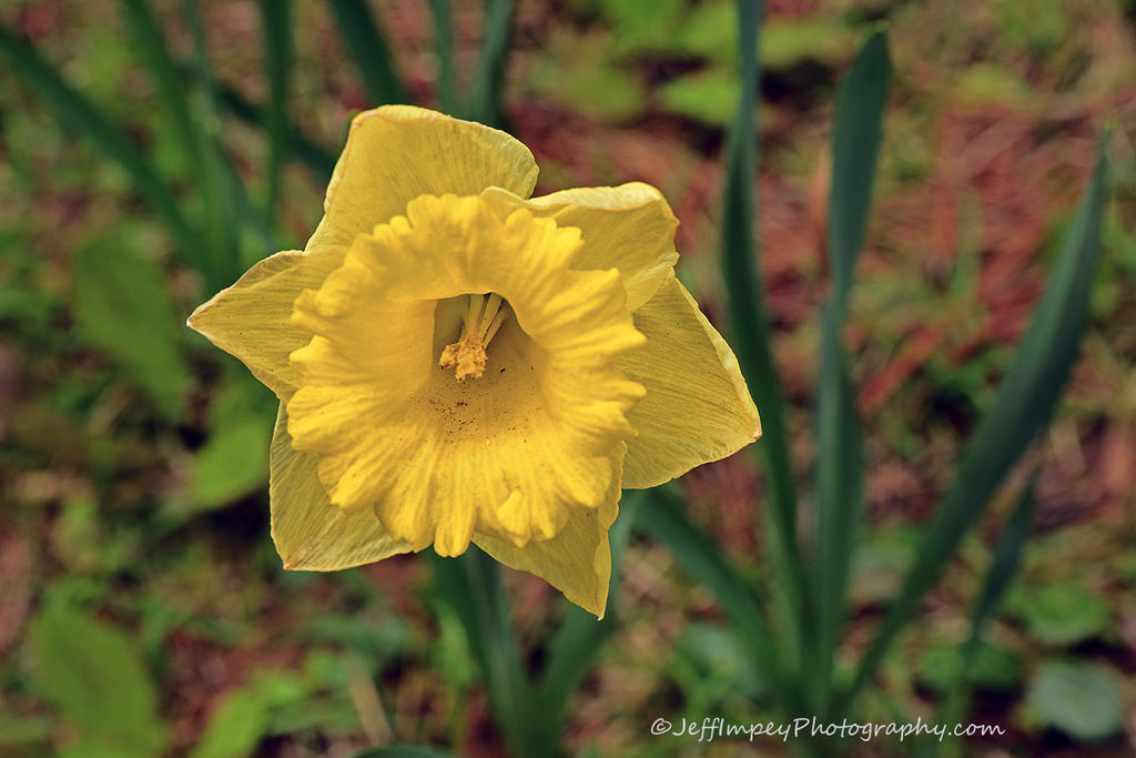 DSC_1734.jpg
