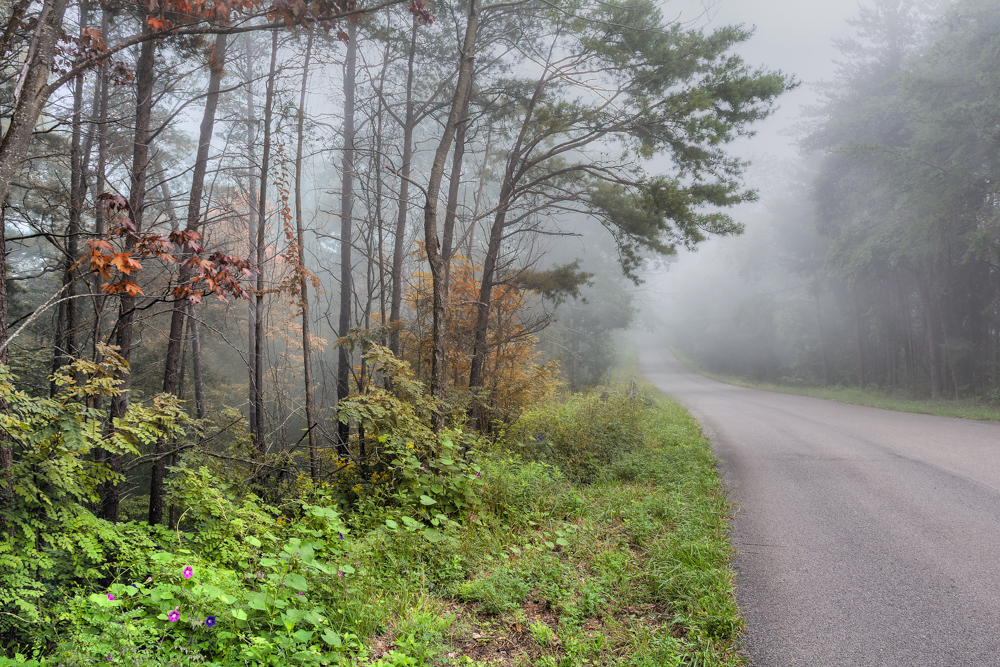 DSC_1738-Edit.jpg