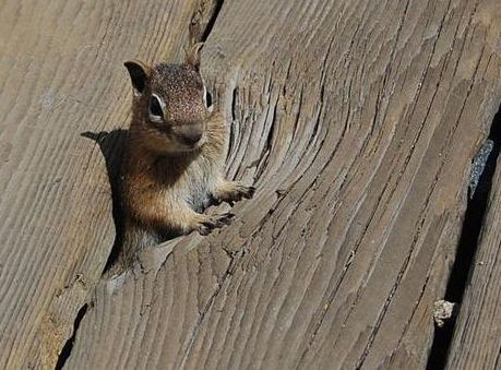 DSC_1740.jpg