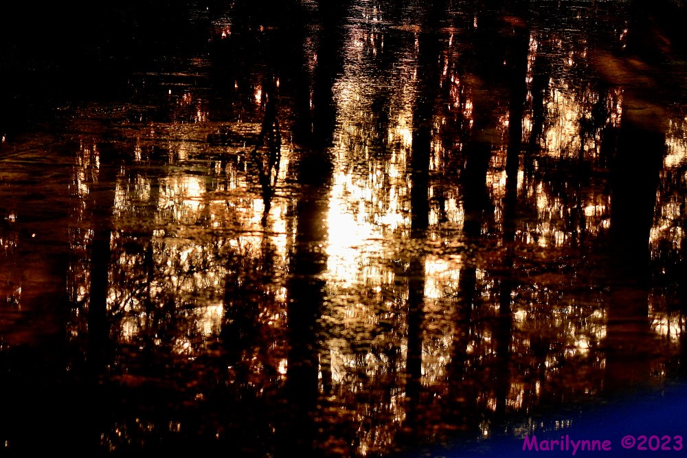 DSC_1740_001.JPG