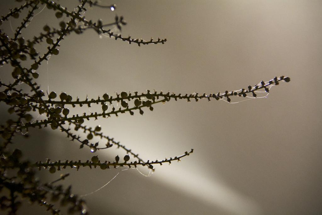 DSC_1745.jpg