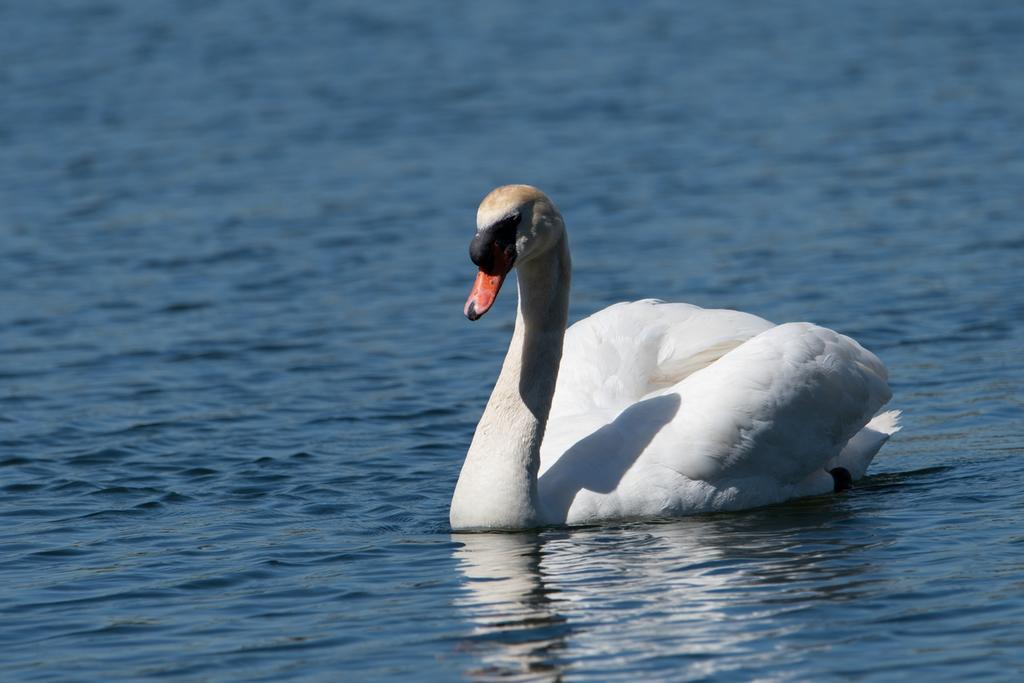 DSC_1750.jpg