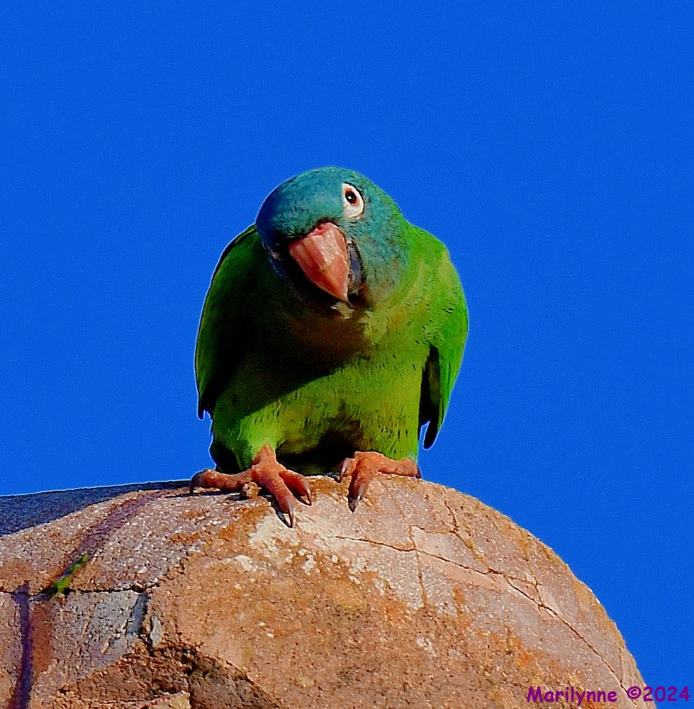 DSC_1751_001.JPG
