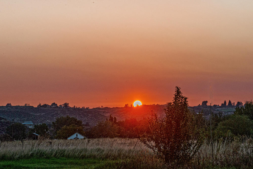 DSC_1752-Edit-Edit.jpg
