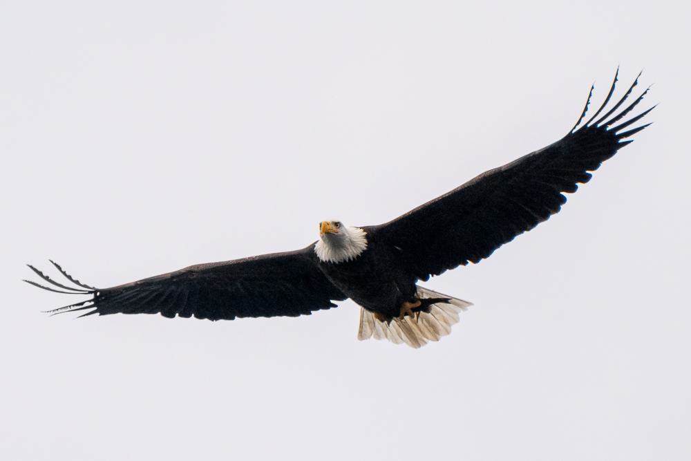 DSC_1753.JPG
