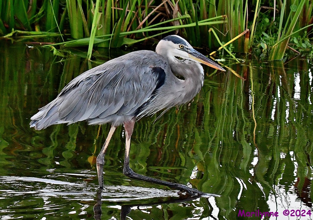 DSC_1754_001.JPG