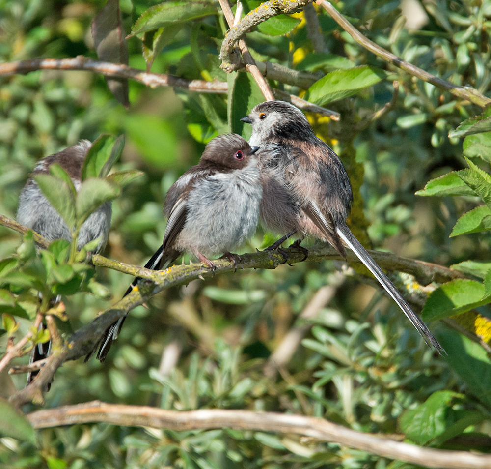 DSC_1756.jpg