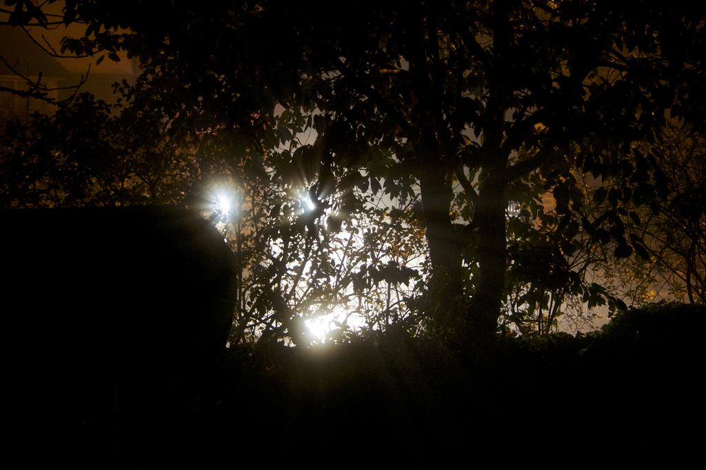 DSC_1760.jpg