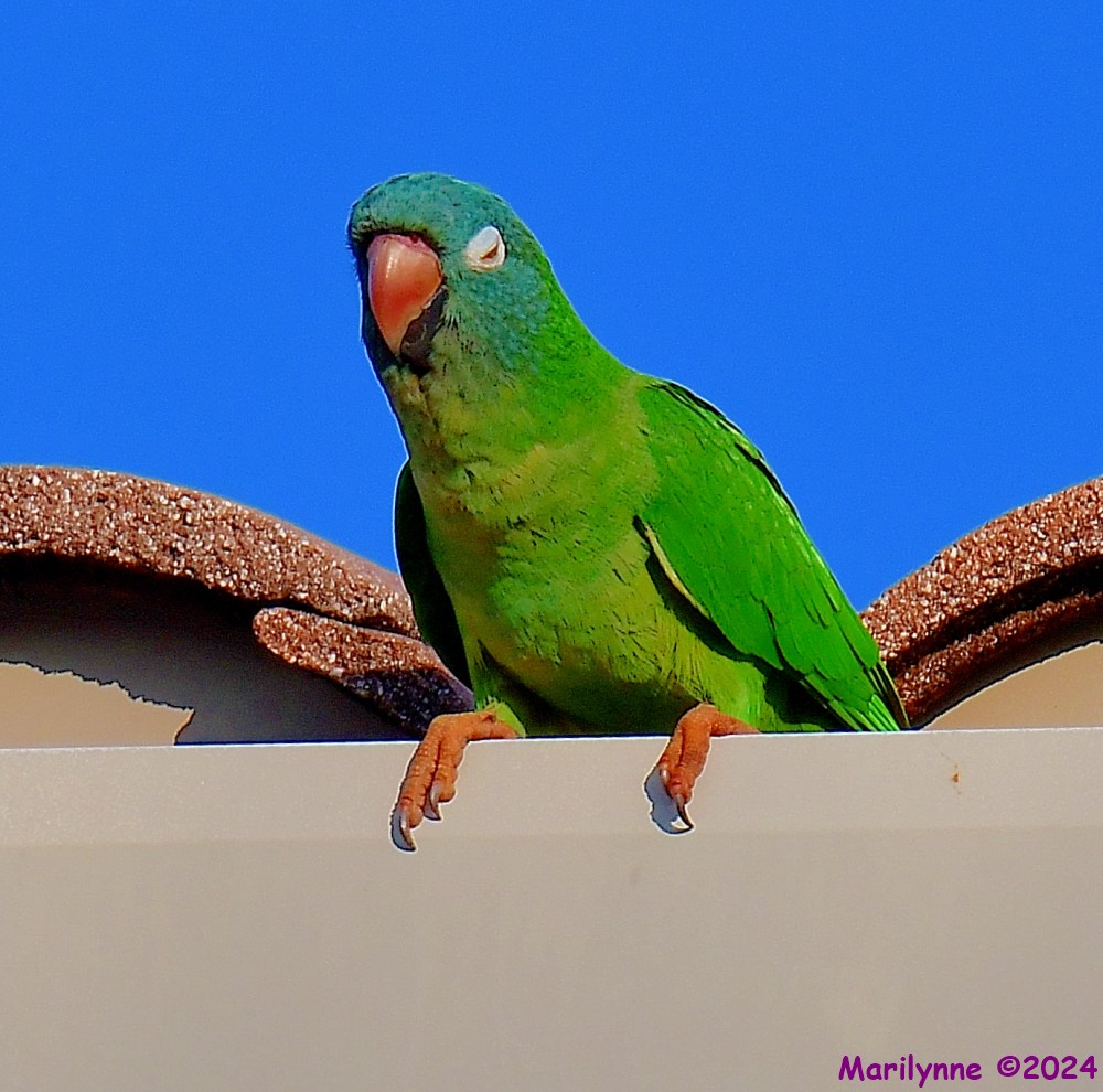 DSC_1760_001.JPG