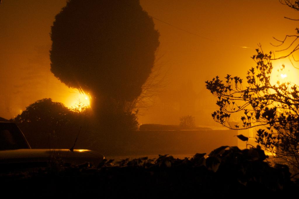 DSC_1762.jpg