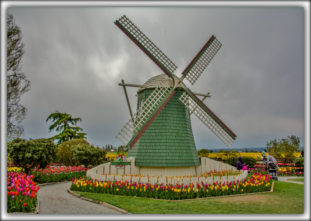 DSC_1763.jpg