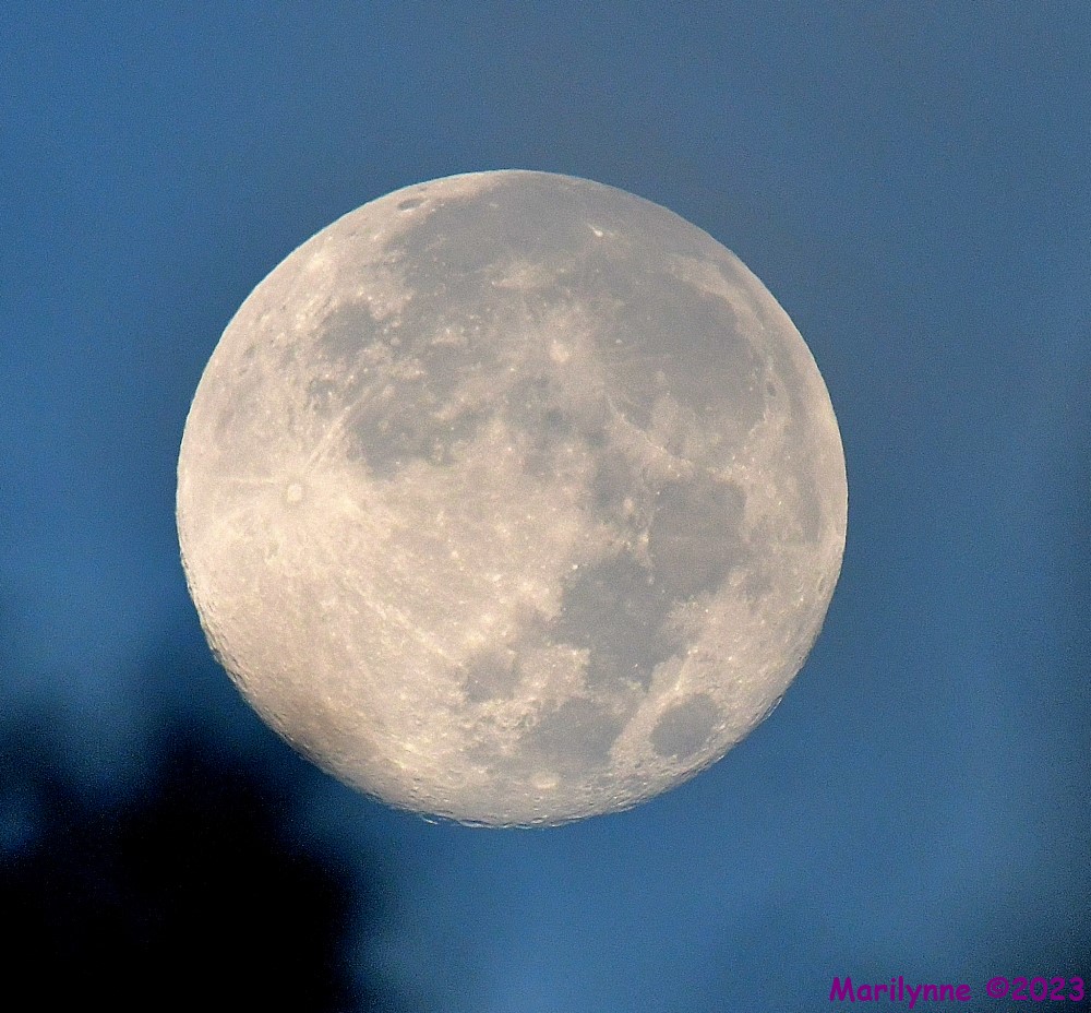 DSC_1763_001.JPG