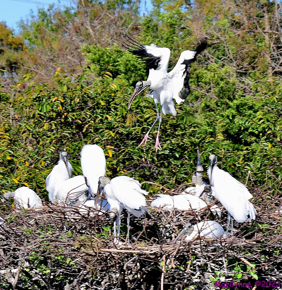 DSC_1764_001.JPG