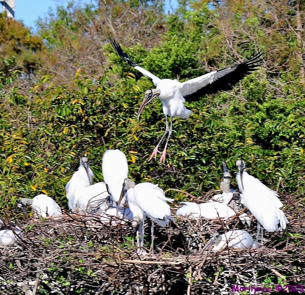 DSC_1765_001.JPG