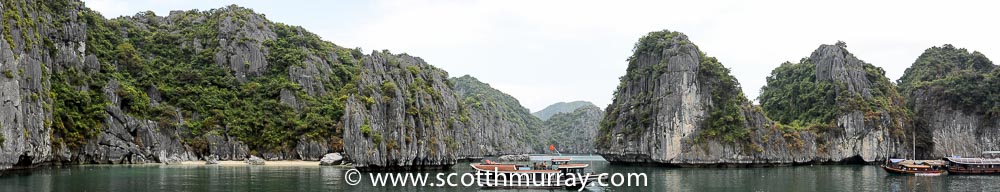 DSC_1768.jpg