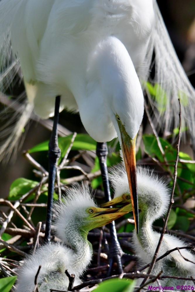 DSC_1768_001.JPG