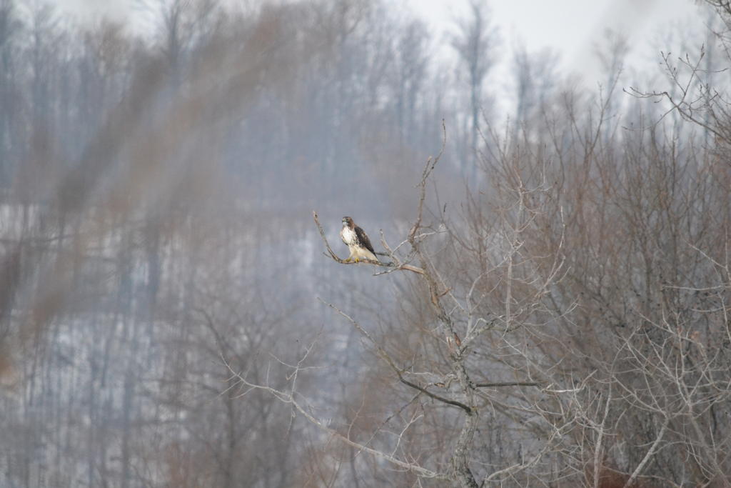 DSC_1769.jpg