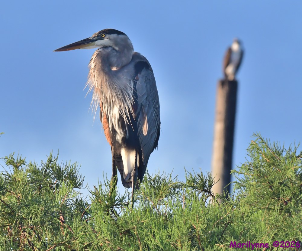 DSC_1769_001.JPG